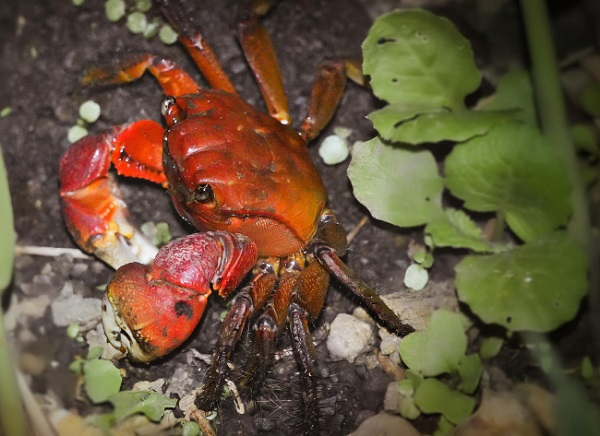 1�� �������� �߻������� �������߸��˰ԡ� ����